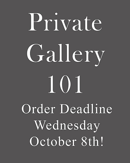 Gallery 101